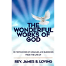 The Wonderful Works of God: 80 Testimonies of Miracles and Blessings from the Life of Rev James B Loving