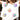 97cc66b9-f6dc-43ff-883d-f36eb7f9fe25-Max