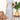 9885b65e76a54fabb2734449c36b61f1-Max
