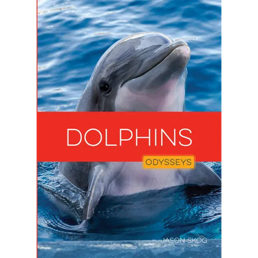 Dolphins