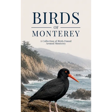 Birds of Monterey: A Collection of Birds Found Around Monterey