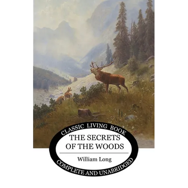 Secrets of the Woods