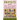 Prophets of the New Testament