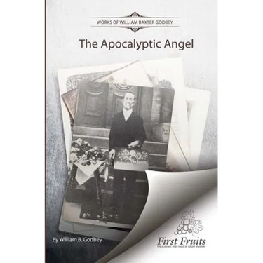 The Apocalyptic Angel