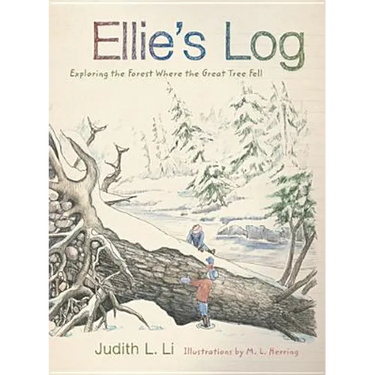 Ellie's Log: Exploring the Forest Where the Great Tree Fell