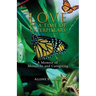Love in a Time of Caterpillars: A Memoir of Monarchs and Caregiving