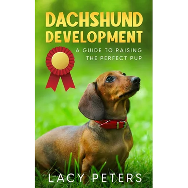 Dachshund Development: A Guide to Raising the Perfect Pup