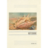 Vintage Lined Notebook Greetings from Ventura, California