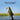 Delaware Game Fish and Panfish Species Kids Book: Great Book About the Different Types of Fish in Delaware