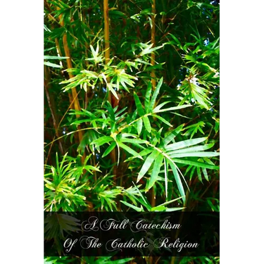 A Full Catechism Of The Catholic Religion