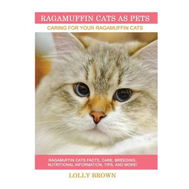 Ragamuffin Cats As Pets: Ragamuffin Cats facts, care, breeding, nutritional information, tips, and more! Caring For Your Ragamuffin Cats