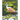 Backyard Birds of Florida