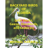 Backyard Birds of Florida