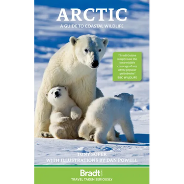 Arctic: A Guide to Coastal Wildlife