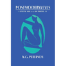 Postmodernvenus: A Detective Novel Set in San Francisco