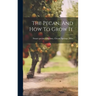 The Pecan, And How To Grow It