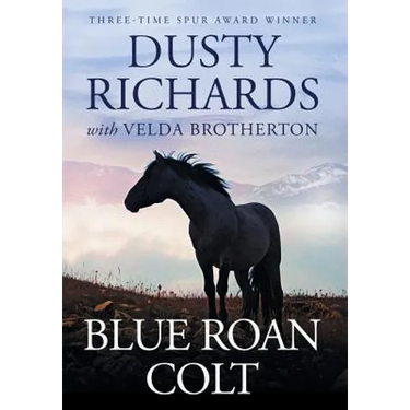 Blue Roan Colt