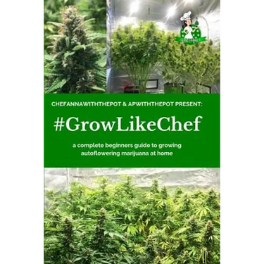 #Growlikechef: a complete beginners guide to growing autoflowering marijuana at home