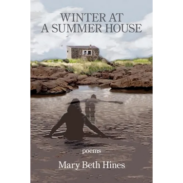 Winter at a Summer House