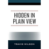 Hidden in Plain View