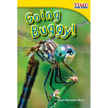 Going Buggy!