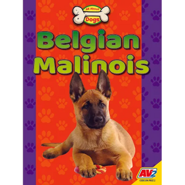 Belgian Malinois