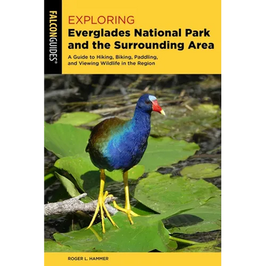 Exploring Everglades National Park and the Surrounding Area: A Guide to Hiking, Biking, Paddling, and Viewing Wildlife in the Region