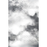 Gunmetal Sky