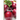 It's Time to Eat Beets