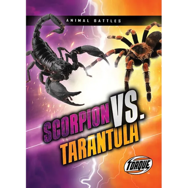 Scorpion vs. Tarantula