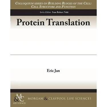 Protein Translation