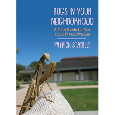 Bugs in Your Neighborhood: A Field Guide to Your Local Insect Friends