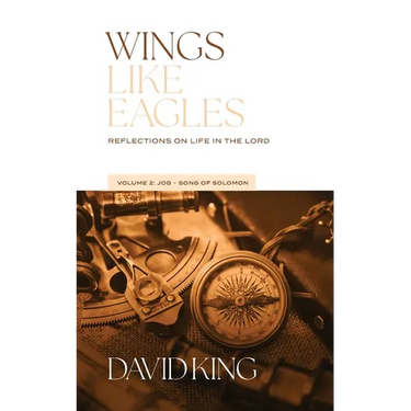Wings Like Eagles Vol. 2: Vol. 2: Reflections on Life in the Lord - Volume 2