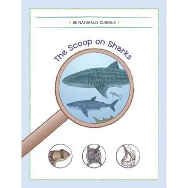 The Scoop on Sharks