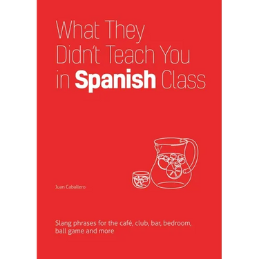 What They Didn't Teach You in Spanish Class: Slang Phrases for the Cafe, Club, Bar, Bedroom, Ball Game and More