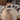 9c1c4e1c-f618-49e0-aa23-21f4ee68a3a2-Max