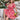 9dbd219a-5d90-498e-b34a-a00bf8639088-Max