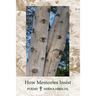 How Memories Insist: Poems