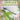 The Wonderful World Of Dragonflies: Interesting Facts About Dragonflies