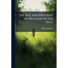 The Rise And Progress Of Religion In The Soul