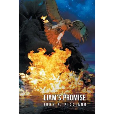 Liam's Promise