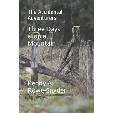 Three Days atop a Mountain: The Accidental Adventurers