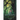 Rootbound