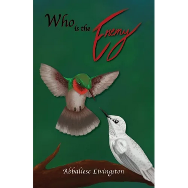 Who is the Enemy