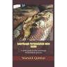 Sourdough Fermentation Mini Guide: A short guide to the sourdough fermentation process