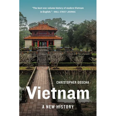 Vietnam: A New History