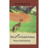 Not Quite on Grand Avenue: Poems of the Early Years