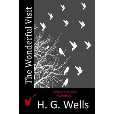 The Wonderful Visit
