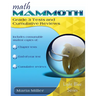 Math Mammoth Grade 3 Tests and Cumulative Reviews