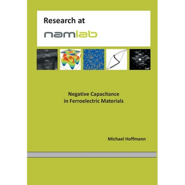 Negative Capacitance in Ferroelectric Materials